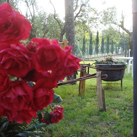 Agriturismo La Fattoria San Donato Val di Comino Ngoại thất bức ảnh