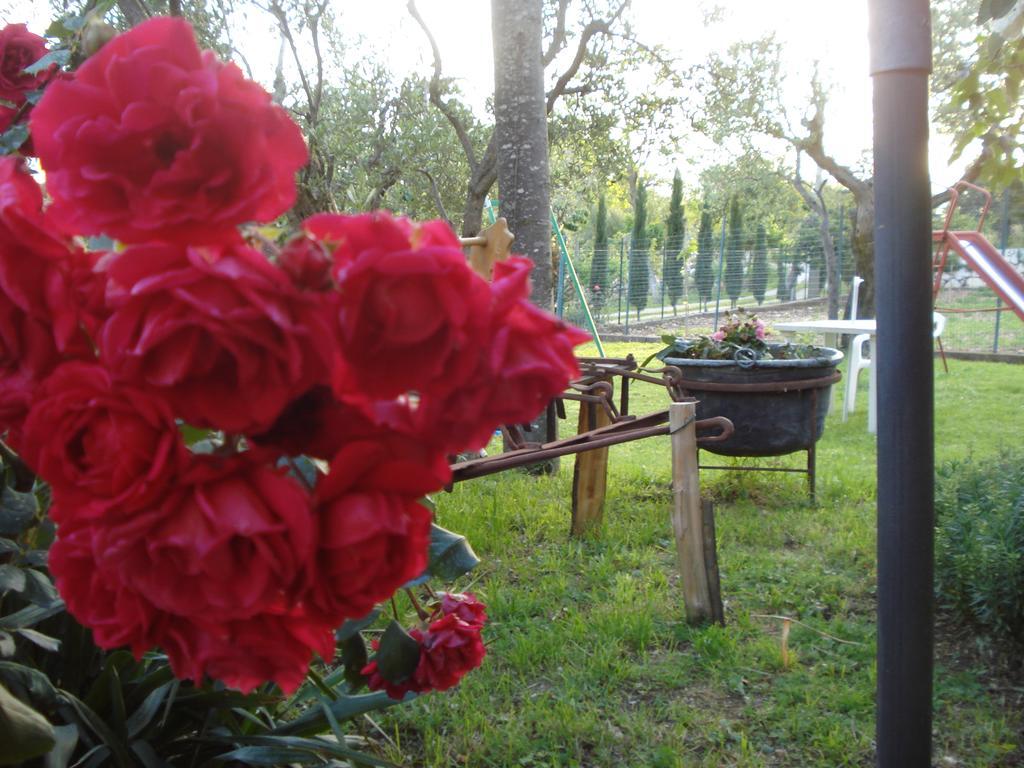 Agriturismo La Fattoria San Donato Val di Comino Ngoại thất bức ảnh
